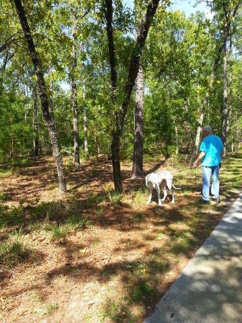 Cross Florida Greenway | Marshall Swamp,, Ocala, FL 34472, USA