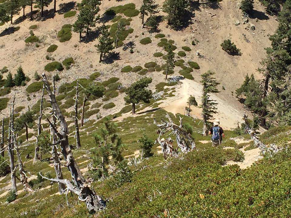 Japanese Saddle | Ice House Canyon Trail, Mt Baldy, CA 91759