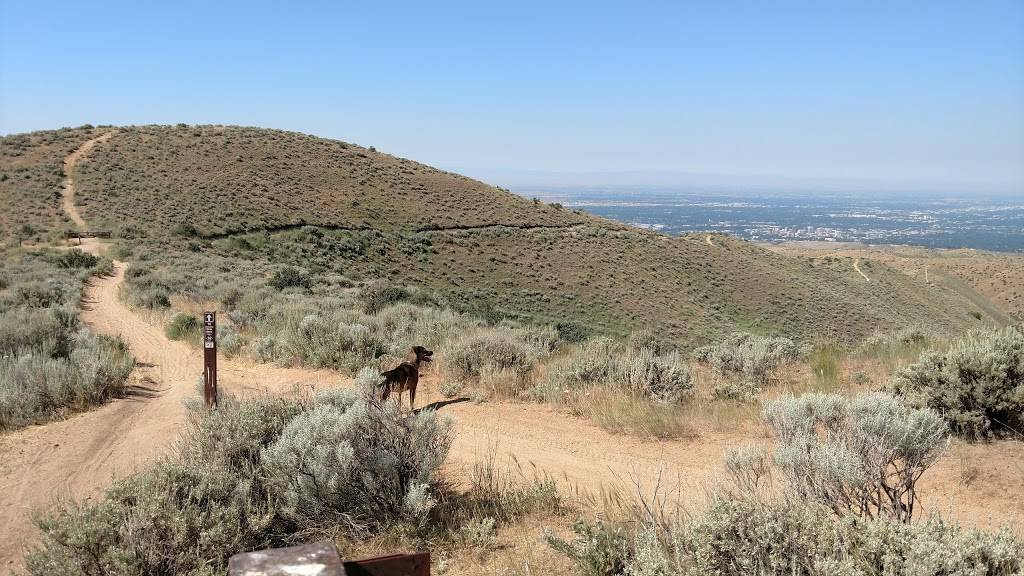 Five Mile Gulch #2 Trailhead | Shaw Mountain Rd, Boise, ID 83701, USA | Phone: (208) 373-4100