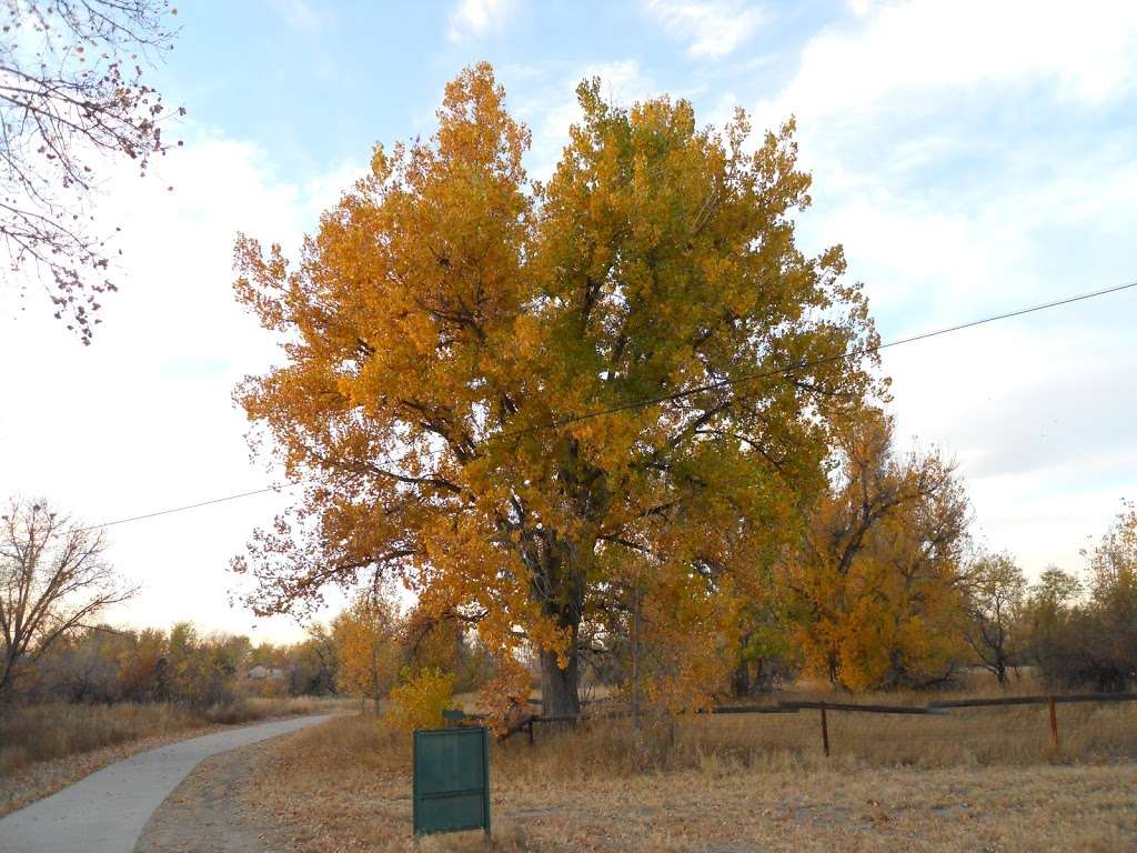 Cherry Creek Trail | Cherry Creek Trail, Parker, CO 80134