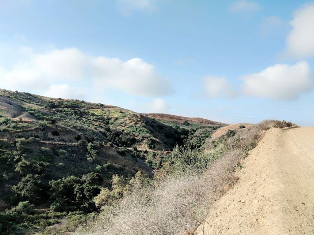 Turnbull MTB Trail | Whittier, CA 90601