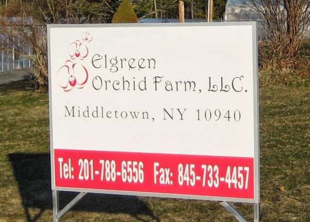 Elgreen Orchid Farm | 511 Prosperous Valley Rd, Middletown, NY 10940, USA | Phone: (845) 733-5646