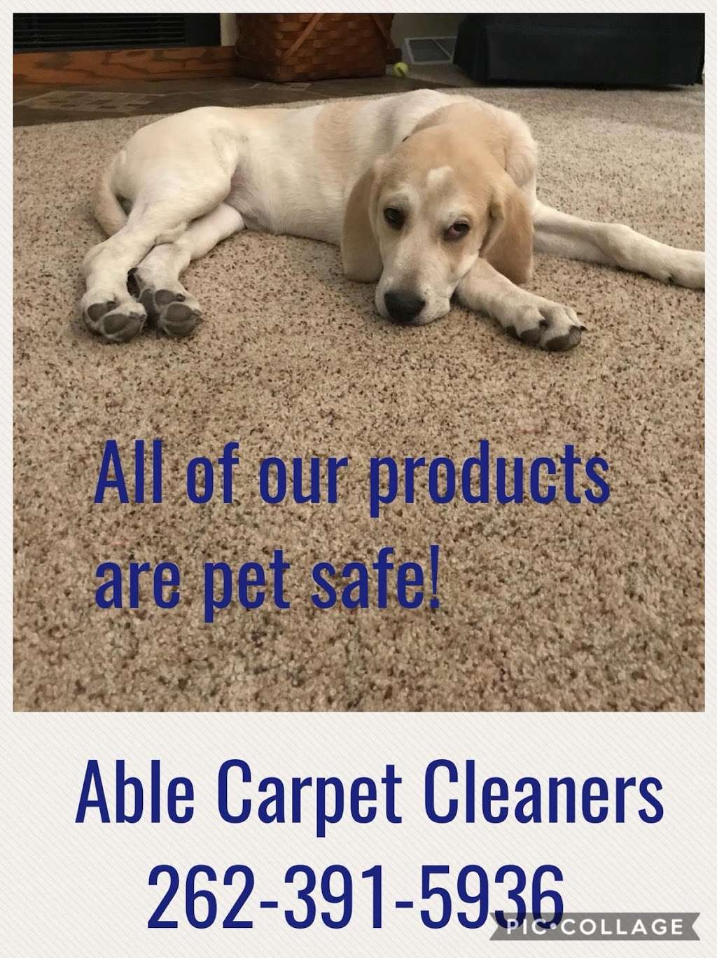 Able Carpet Cleaners | 346 Forest Grove Dr, Pewaukee, WI 53072, USA | Phone: (262) 391-5936