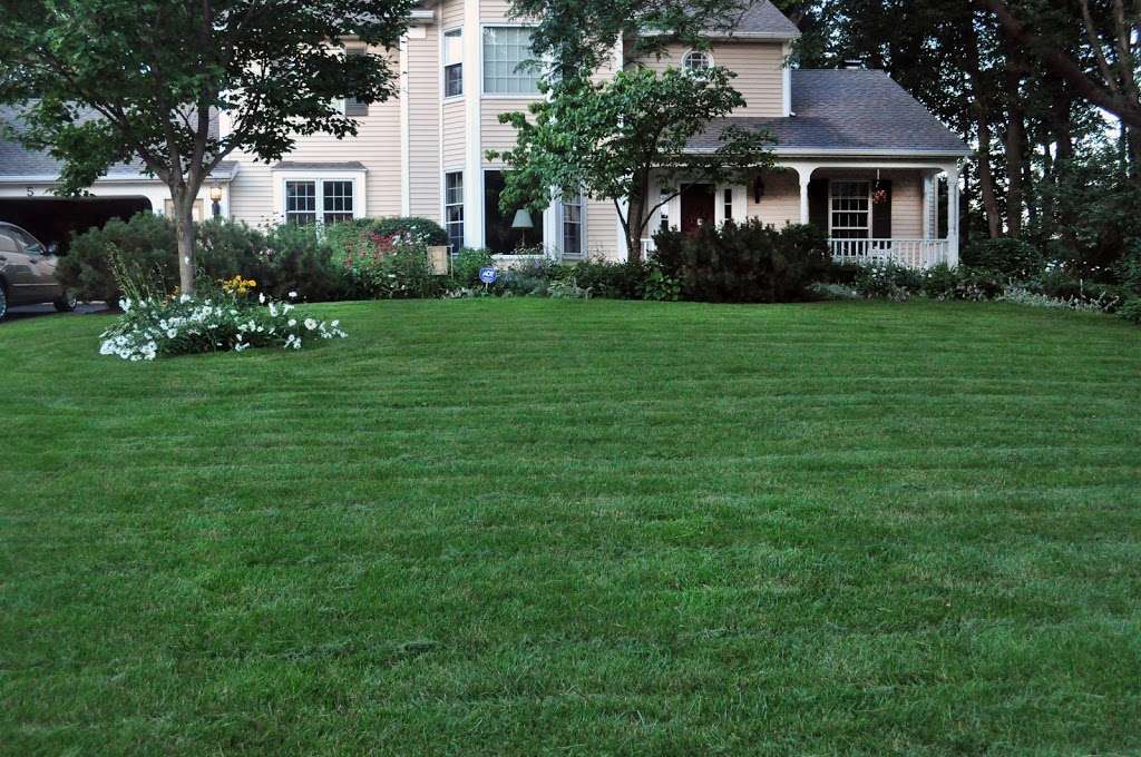 Lawn Dawg | 65 Ryan Dr #7f, Raynham, MA 02767, USA | Phone: (508) 844-4040