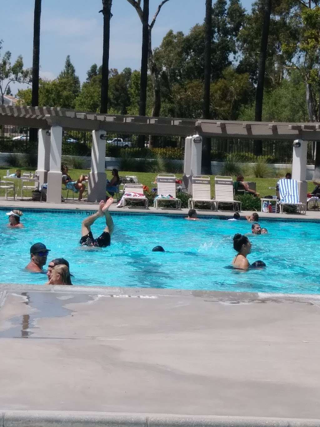 Altisima Pool Samlarc pool | 30082 Melinda Rd, Rancho Santa Margarita, CA 92688 | Phone: (800) 428-5588