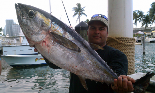 Fish Jumanji | 4000 Crandon Blvd C1, Key Biscayne, FL 33149, USA | Phone: (786) 486-7200