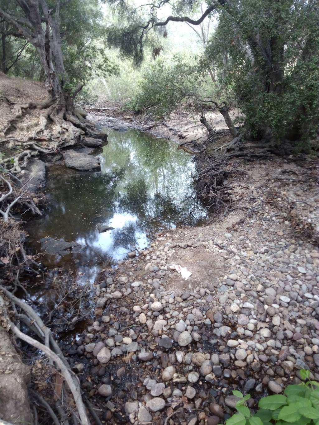 Tecolote Canyon Natural Park and Nature Center | 5180 Tecolote Rd, San Diego, CA 92110, USA | Phone: (858) 581-9944