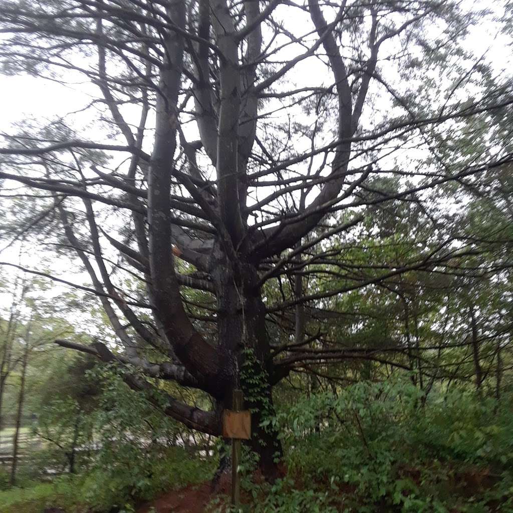 Hockhockson Park - Baseball | 295 Hockhockson Rd, Tinton Falls, NJ 07724, USA | Phone: (732) 542-3400 Hockhockson Park - Baseball | 295 Hockhockson Rd, Tinton Falls, NJ 07724, USA | Phone: (732) 542-3400