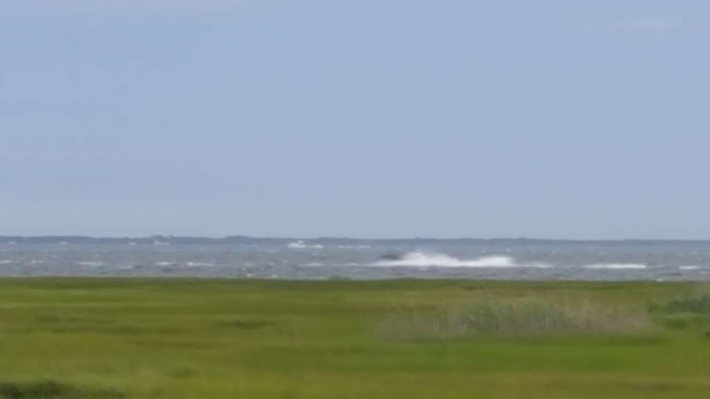 Sunrise Beach Pavilion, 1103 Capstan Dr, Forked River, NJ 08731, USA