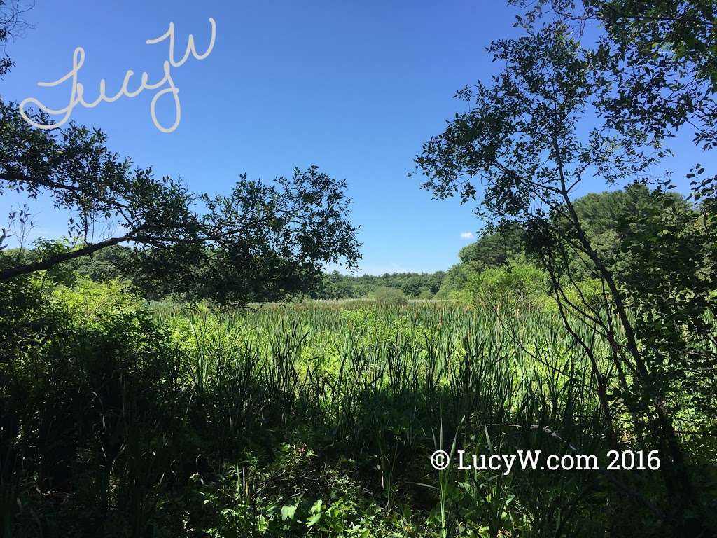 McKenna Marsh | Hingham, MA 02043, USA