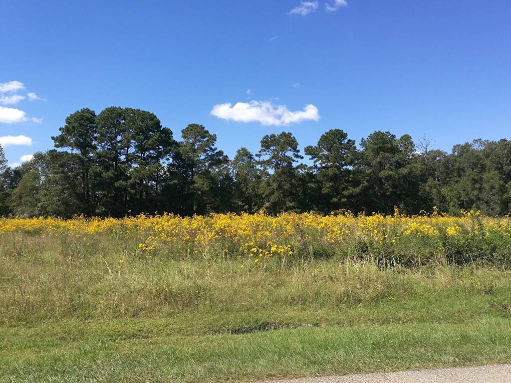 Jacob Kornmeyer Park | 15352 Hooper Rd, Greenwell Springs, LA 70739, USA | Phone: (225) 272-9200 Jacob Kornmeyer Park | 15352 Hooper Rd, Greenwell Springs, LA 70739, USA | Phone: (225) 272-9200
