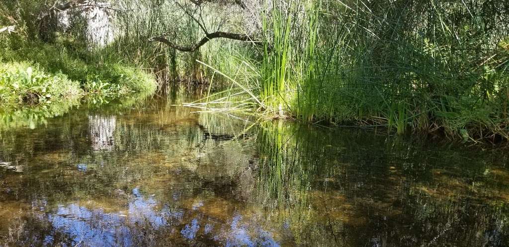 Cactus Trail | Los Penasquitos Canyon Trail, San Diego, CA 92129, USA