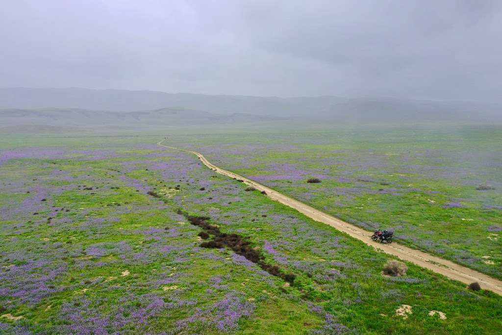 Carrizo Plain National Monument | Soda Lake Rd, Maricopa, CA 93252, USA