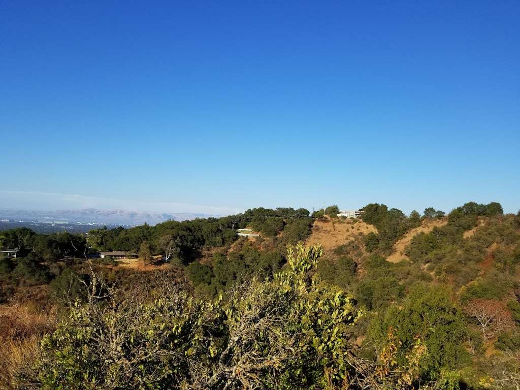 Rhus Ridge Trailhead | Rhus Ridge Trail, Los Altos Hills, CA 94022, USA