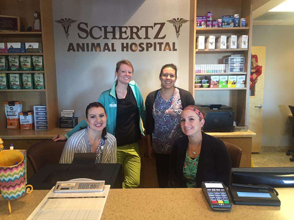 Schertz Animal Hospital | 1350 FM78, Schertz, TX 78154, USA | Phone: (210) 659-0345