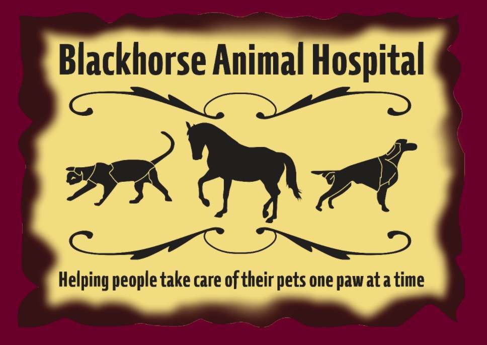 Blackhorse Animal Hospital | 13203 Fry Rd #1200, Cypress, TX 77433, USA | Phone: (832) 220-1380