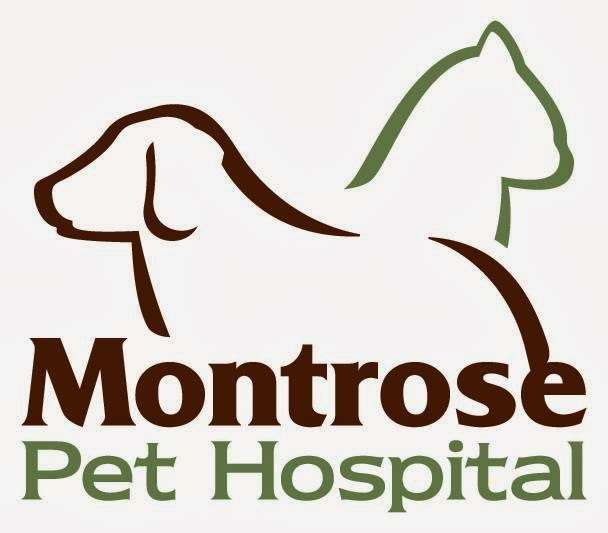 Montrose Pet Hospital | 2444 Honolulu Ave, Montrose, CA 91020 | Phone: (818) 249-2273