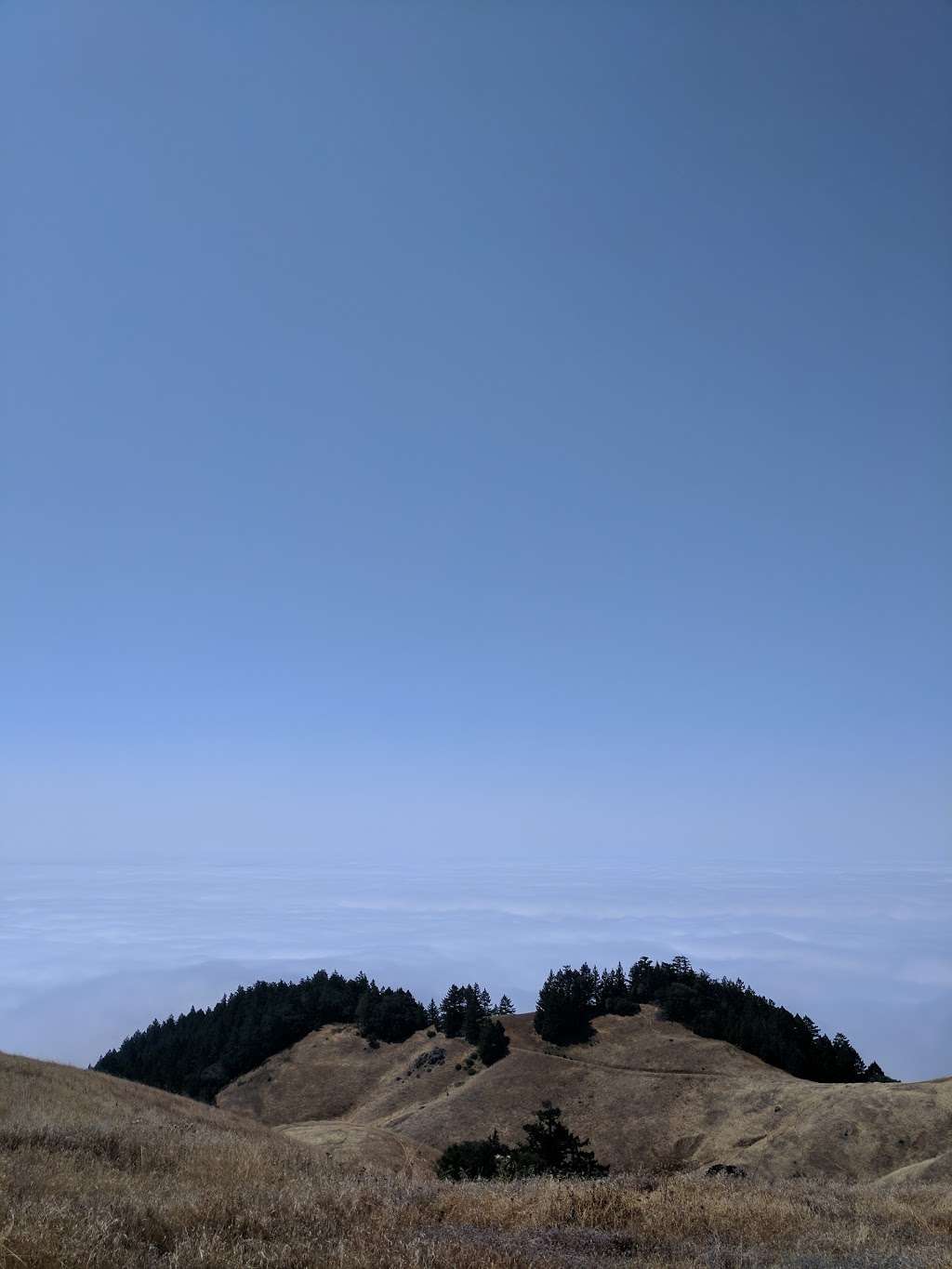 Ballou Point Trailhead | W Ridgecrest Blvd, Stinson Beach, CA 94970, USA