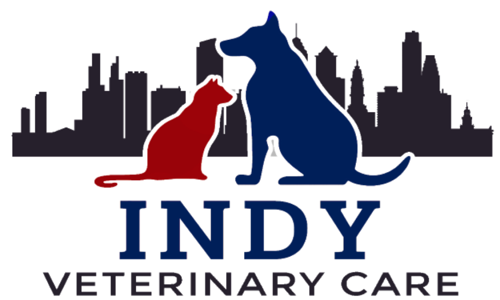 Indy Veterinary Care, Sara Organist, VMD | 2616 Edgemont St, Philadelphia, PA 19125, USA | Phone: (484) 362-7676