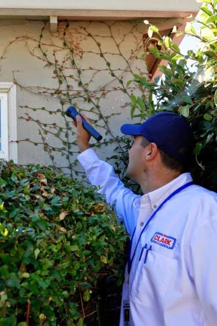 Clark Pest Control | 2313 Research Dr, Livermore, CA 94550, USA | Phone: (925) 732-1432