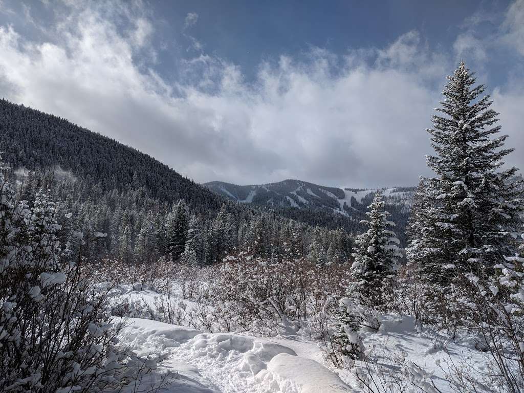 Jim Creek Trail | Idaho Springs, CO 80452, USA