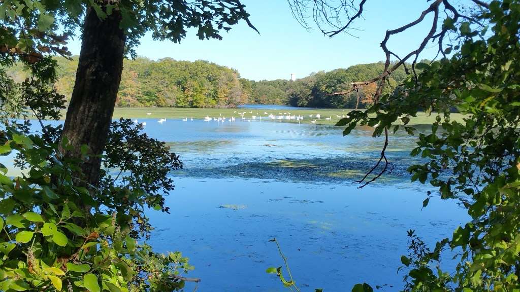 Ten Mile River Greenway | Ten Mile River Greenway Bikepath, Rumford, RI 02916