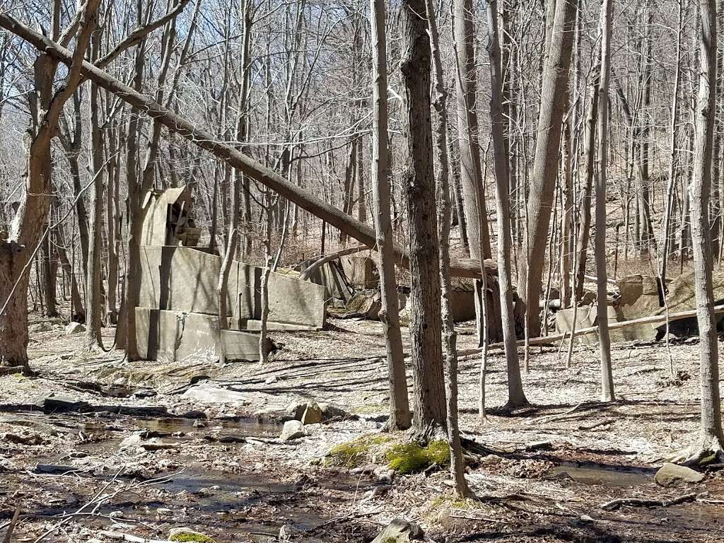 Breckneck Ridge Hiking Trail | 3258 Bear Mountain-Beacon Hwy, Cold Spring, NY 10516, USA