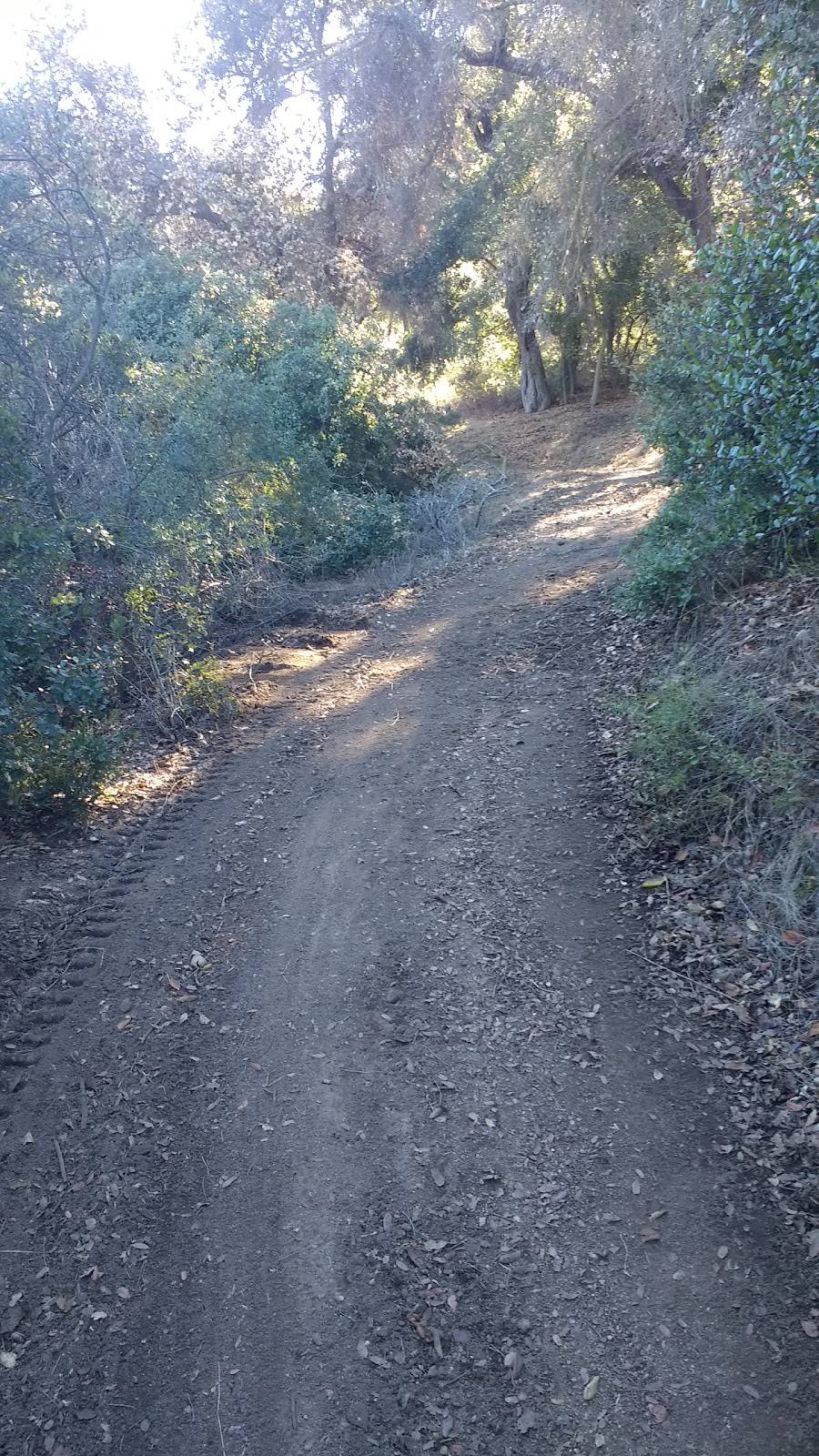 Fry Koegel Trail | Poway, CA 92064, USA