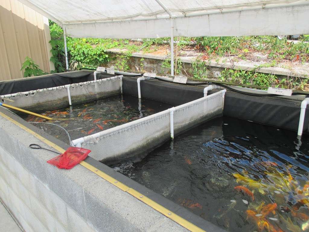 Hanover Koi Farms | 1332 Moulstown Rd N, Hanover, PA 17331, USA | Phone: (717) 637-1111
