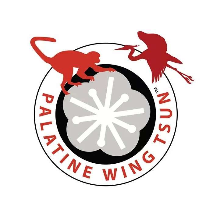 Palatine Wing Tsun Kung Fu Academy | 1718 Algonquin Rd, Hoffman Estates, IL 60192 | Phone: (320) 358-6438