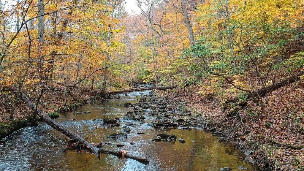 Little Rocky Run Trail | Little Rocky Run Cir, Centreville, VA 20121