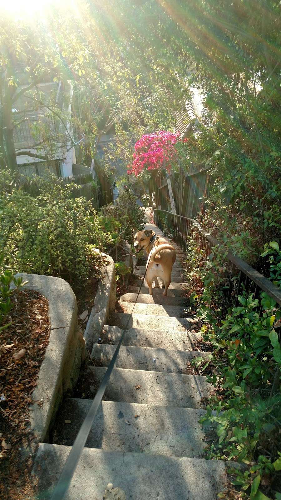 Saroyan Stairs | Saroyan stairs, Los Angeles, CA 90068, USA