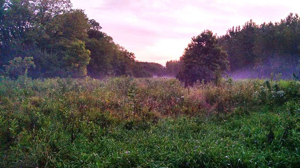 Lower Rock Run Preserve - I&M Canal Access | 1966 Hollywood Rd, Joliet, IL 60436, USA | Phone: (815) 727-8700