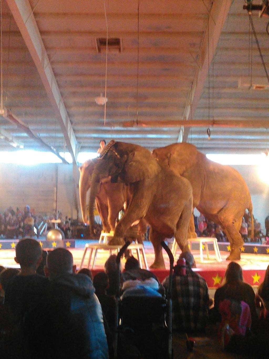 All Star Family Fun & Events | 2638 Emmitsburg Rd, Gettysburg, PA 17325, USA | Phone: (717) 334-6363