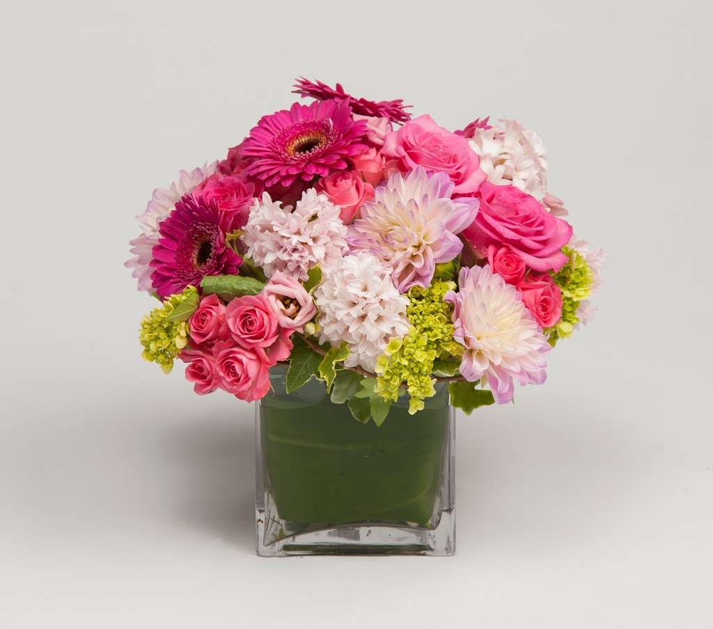 Robertsons Flowers & Events | 1301 E Mermaid Ln, Glenside, PA 19038, USA | Phone: (215) 836-3050