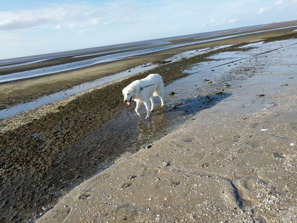 Cape May National Wildlife Refuge | 24 Kimbles Beach Rd, Cape May Court House, NJ 08210 | Phone: (609) 463-0994