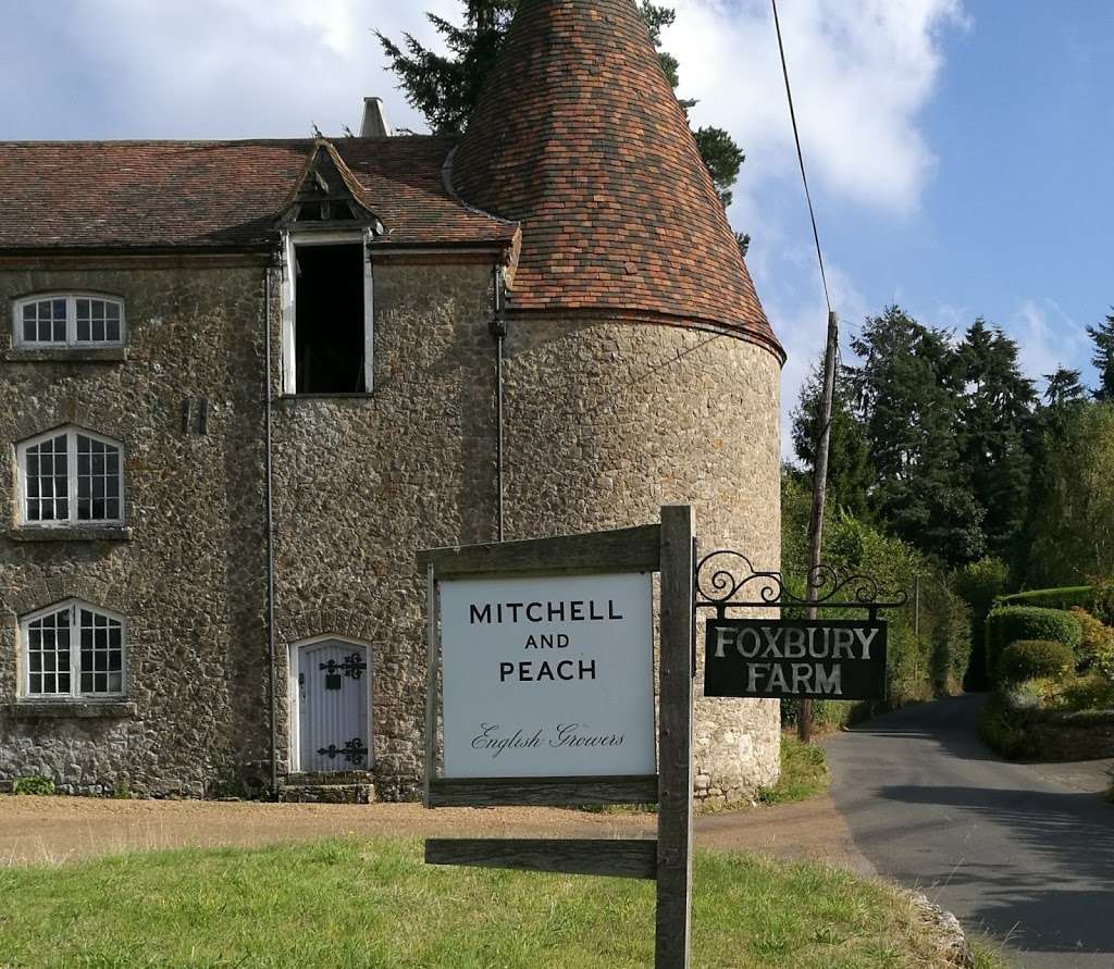 Mitchell and Peach | Foxbury Farm, Stone Street, Seal, Sevenoaks TN15 0LW, UK | Phone: 01732 810614