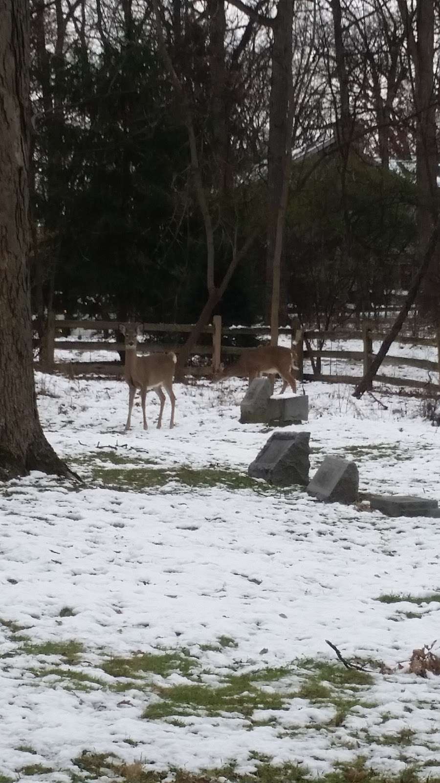 Evangelical Church Cemetery | 3724 Washington St, Oak Brook, IL 60523