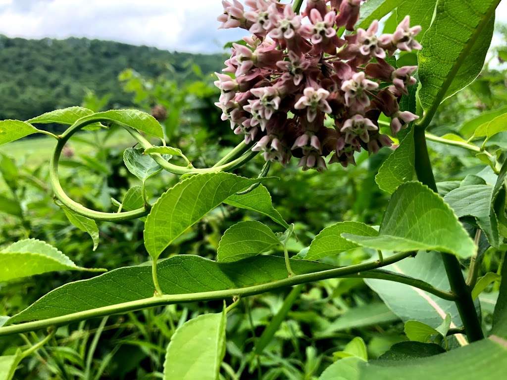 McDade Recreational Trail | McDade Recreational Trail, East Stroudsburg, PA 18302, USA