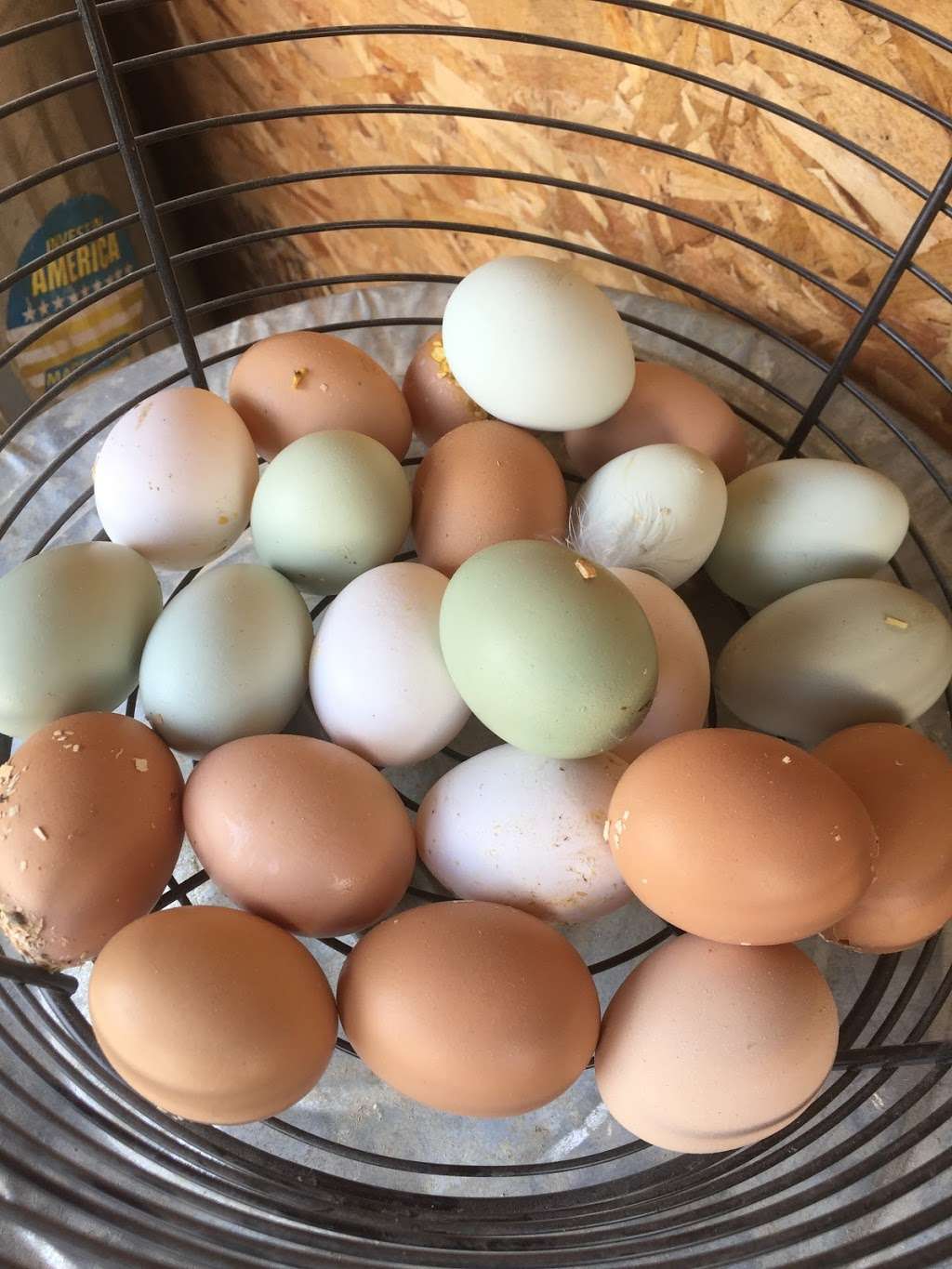 Family Farm Meats, L.L.C. | 16061 McGirr Rd, Hinckley, IL 60520, USA | Phone: (815) 751-4409 Family Farm Meats, L.L.C. | 16061 McGirr Rd, Hinckley, IL 60520, USA | Phone: (815) 751-4409