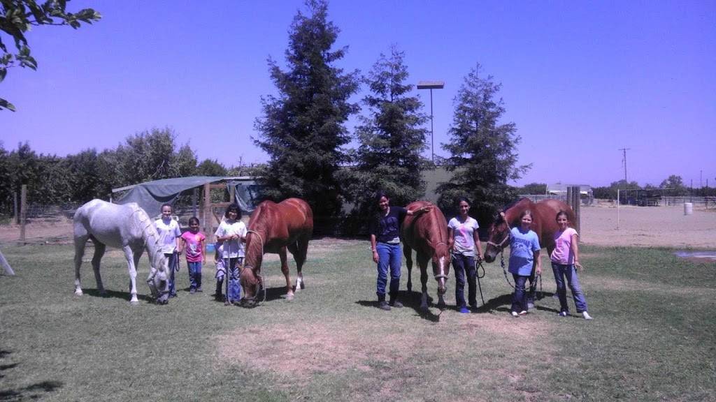 Copperwood Training Stables | 3406 E Behymer Ave, Clovis, CA 93619, USA | Phone: (559) 304-6949