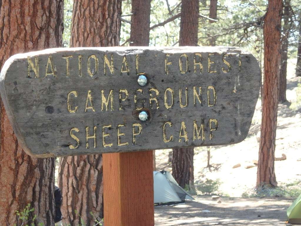 Sheep Campground | Maricopa, CA 93252