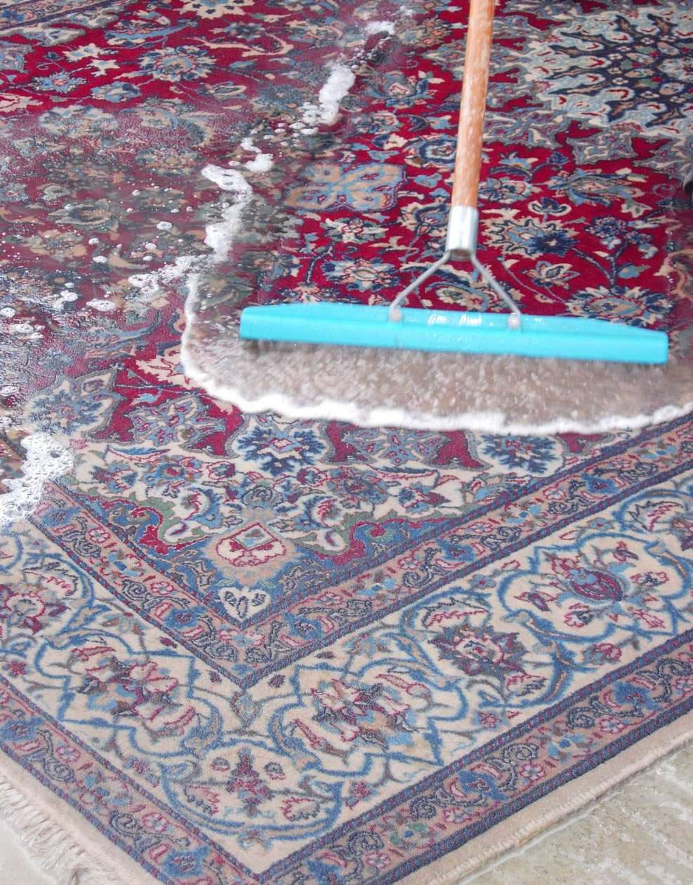 Nova Rugs Carpet Cleaning Sterling | 20925 Cheyenne Terrace, Sterling, VA 20165 | Phone: (703) 337-7676