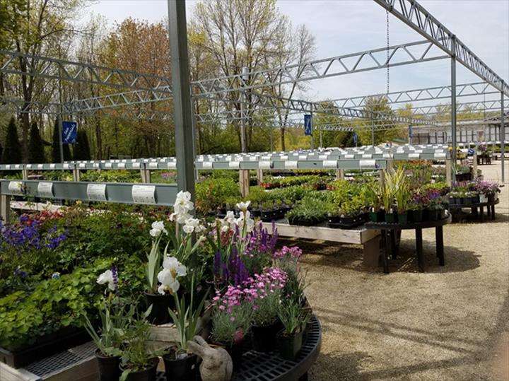 Shady Acres Perennial Nursery | 5725 S Martin Rd, New Berlin, WI 53146, USA | Phone: (262) 679-1610