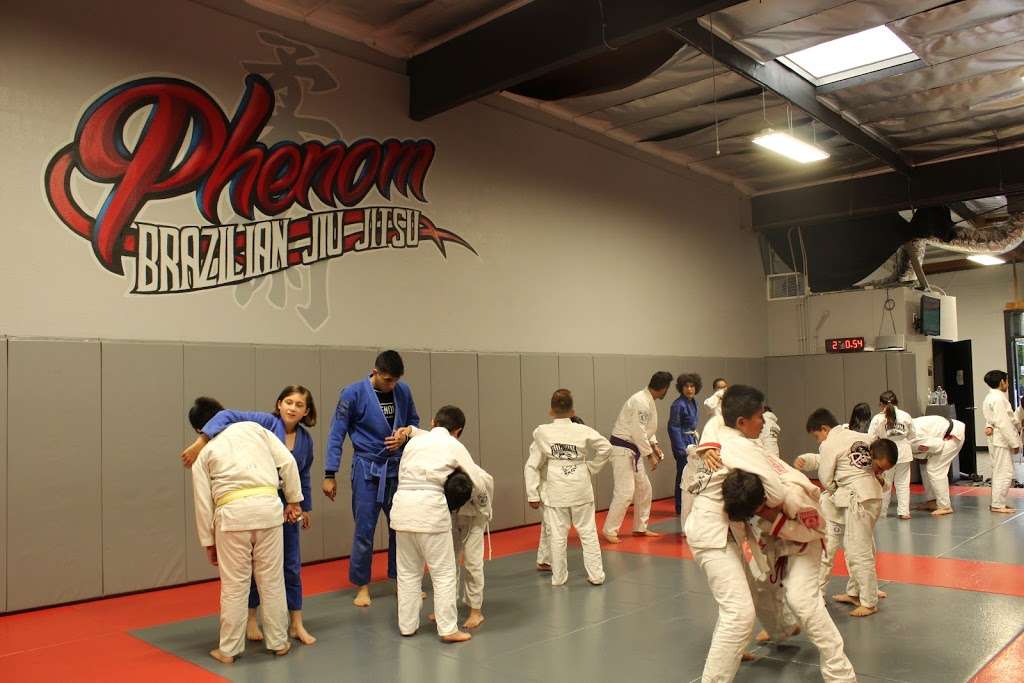 Phenom Brazilian Jiu-Jitsu & Mixed Martial Arts | 15230 San Fernando Mission Blvd b104, Mission Hills, CA 91345, USA | Phone: (818) 365-0999