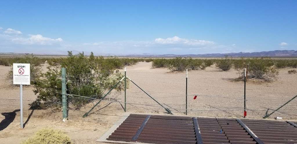 Unofficial Pet Cemetery | Boulder City, NV 89005, USA