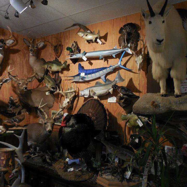 Cape Taxidermy | 60 Bay Shore Rd, Cape May, NJ 08204, USA | Phone: (609) 889-1539