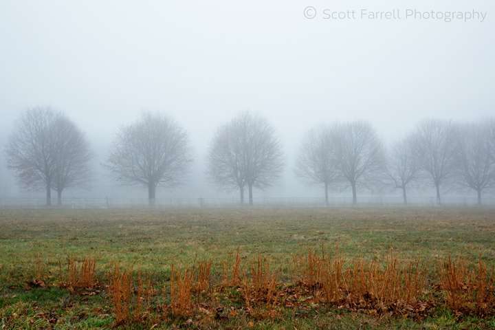 Scott Farrell Photography | 8 Barclay St, Huntington Station, NY 11746, USA | Phone: (631) 495-2700