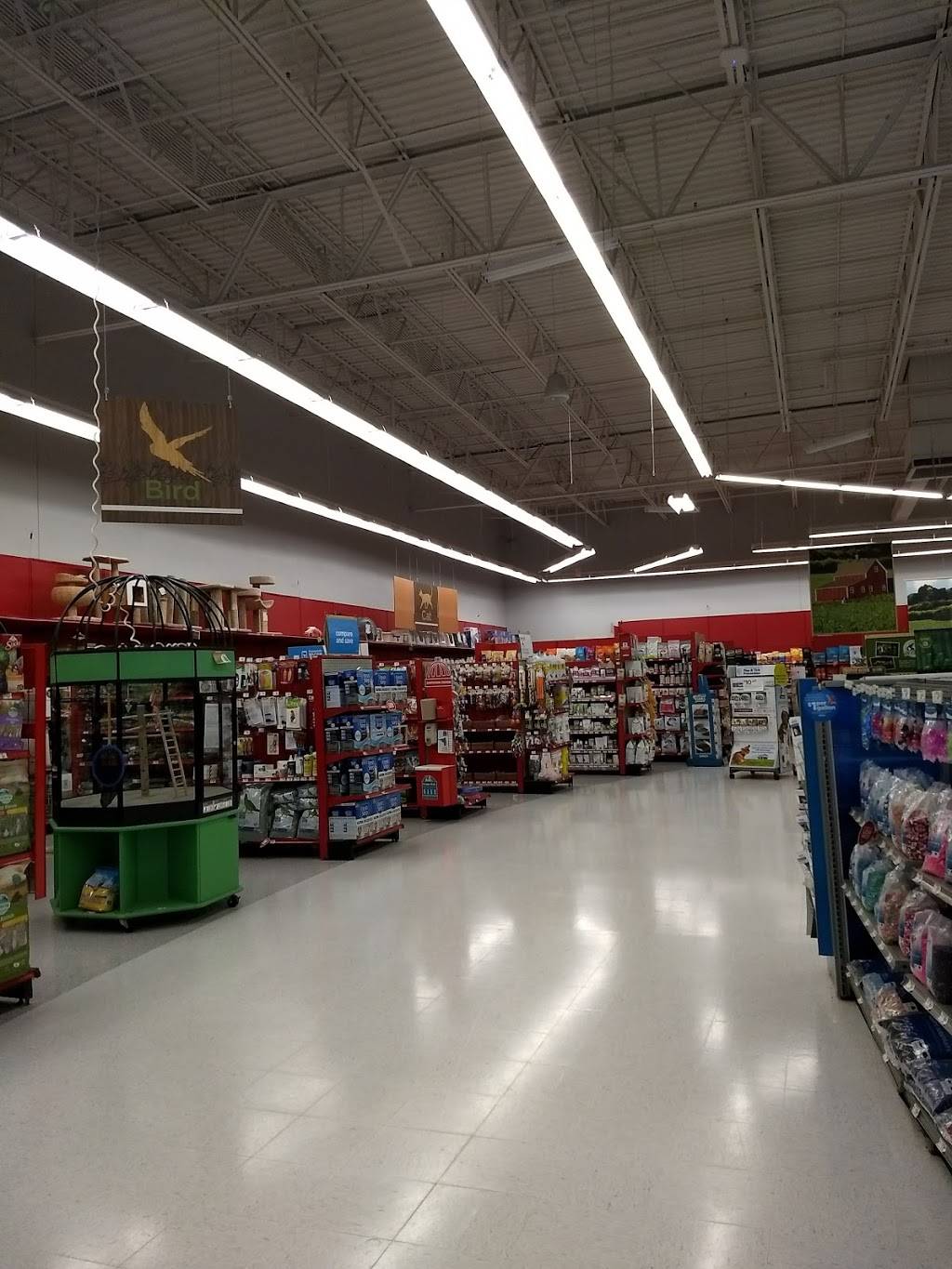 Petco | 1014 Shoppes At Midway Dr, Knightdale, NC 27545, USA | Phone: (919) 217-2560