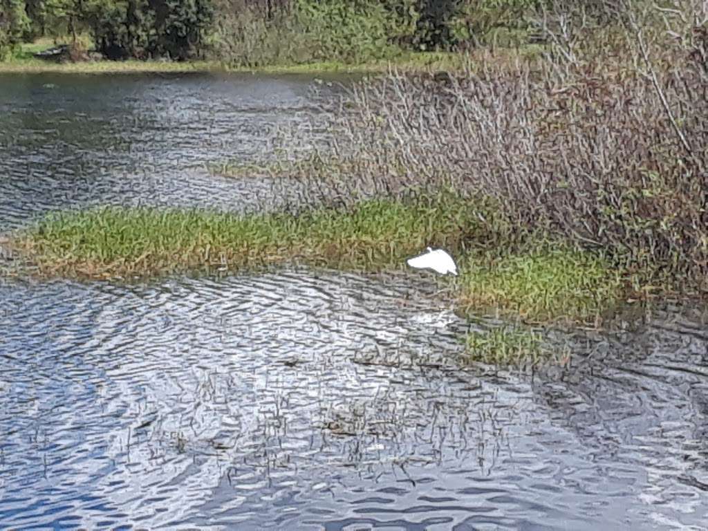 Lake Macy Park | E Kicklighter Rd, Lake Helen, FL 32744, USA